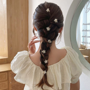 Hair Fragment Organizer Clip Small