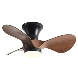 PUYU | Small Ceiling Fan Light for Corridors玄关 Bars and Closets