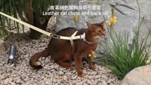 HamshMoc Escape Proof Cat Harness Leash Set Adjustable H-Back Lightweight Zinc Buckle Heavy Duty Lock