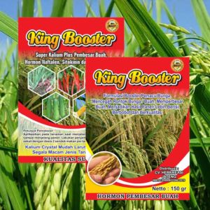 COD - PUPUK KING BOOSTER 150 GRAM PEMBESAR BUAH MEMPERCEPAT PEMBUAHAN MELEBATKAN BUAH