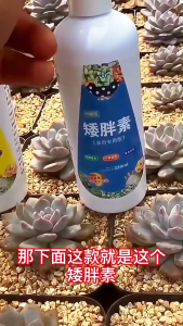 【Hot sale】300ML Succulent Dwarf Succulent specially for succulents promotes bud differentiation