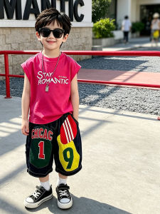 Stylish Boy Casual T-Shirt and Shorts Set