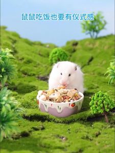 chén sứ kem dâu cho hamster thỏ bọchó mèo - T3 PETS SHOP