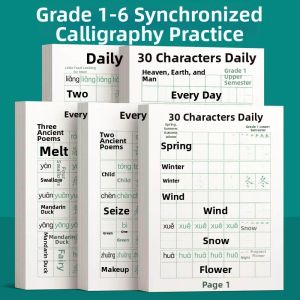 PAIR BOY | Daily 30 Characters Calligraphy Book for Students Dot Matrix Control Brush Pen Writing Practice