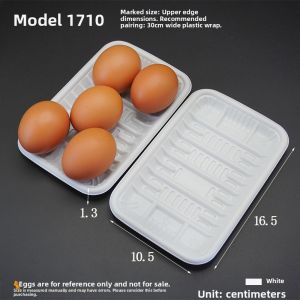 Disposable Transparent PP Food Tray Fresh Pork Fruit Vegetable Tray Rectangular Shape Catering Supplies Long Rectangle Plate