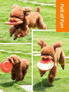 HOOPET | Durable Training Disc Dog Toy