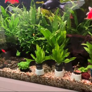 กระถางต้นไม้น้ำ กระถางสำหรับปลูกต้นไม้น้ำ พืชไม้น้ำในตู้ปลา กระถางขนาดเล็ก ชุด5ชิ้น กระถางใส่ต้นไม้น้ำ เช่น สาหร่าย ดาวกระจาย ดอกแดง ขาไก่