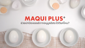 มากิพลัส (แบบขวด)  ของแท้  💯%ของใหม่ บียอนด์ มากิพลัส Beyonde Maqui Plus  มากิพลัส คือสารต้านอนุมูล​อิสระ​ กำจัดสารพิษในเลือด