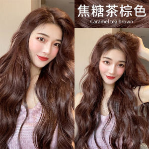 Natural Brown Hair Dye Plant-Based Home Application Hair Coloring Cream Covers Gray Hair for Men And Women No Bleaching Required