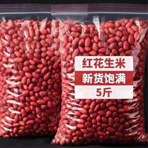 Small Fresh Raw Four Kernel Red Peanuts 5kg