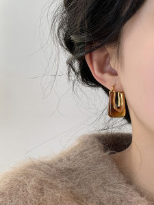Exaggerated Tortoiseshell Color Earrings Mysterious Autumn Winter Tea Color Ear Jewelry Elegant Fashionable Female Accessories