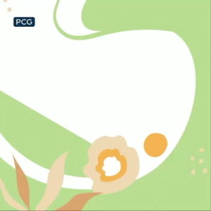 Makanan Kucing Cat Choize Kitten Salmon 1kg