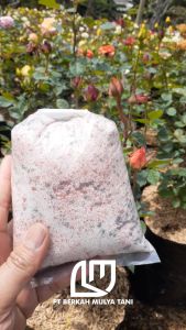 Booster Pelebat Pupuk Khusus Tanaman Pohon Bunga Mawar Agar Berbunga Warna Lebih Cantik Dan Cerah 500gr