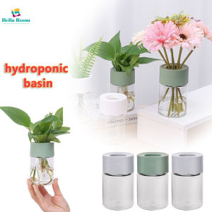 Lazy Simple Transparent Hydroponic Basin DIY Automatic Water Absorbing Plastic Flower Pot Home Decoration