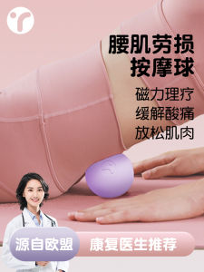 Bóng Massage Bằng Silicon Yoga Fitness Mát-xa Chuyên Nghiệp Cho Cơ Lưng Và Cơ Cổ Đệm Màng Cứng Xua Tan Căng Thẳng