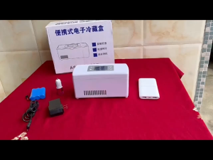 Insulin cooler box Travel medicine box Medicine cooler Refrigerator container Keep your medications safe Rapid cooling