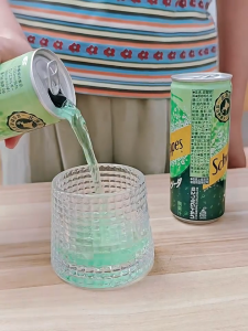 Schweppes Melon Soda 250ml - Japan Imported Hokkaido Melon Carbonated Drink 0 Fat Refreshing Sparkling Beverage