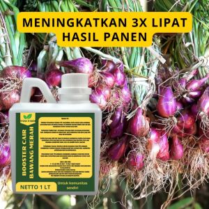 Pupuk Semprot Pelebat BAWANG MERAH Pupuk Pelebat BAWANG MERAH Pupuk Penyubur BAWANG MERAH ZPT