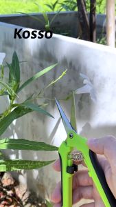 Kosso หัวตรง กรรไกรสำหรับตัดแต่งกิ่งไม้ กรรไกรตัดแต่งกิ่งอุปกรณ์ตัดแต่งกิ่งในสวนตัดแต่งต้นไม้ในบ้าน (1ชิ้น) กรรไกรตัดกิ่งไม้ 1301 2SA