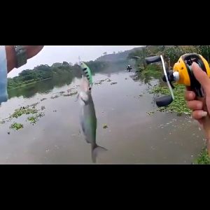Hawesta Fishing Bait 5g/5cm Sinking Minnow Lure SwimBait Lure 3D Eyes Minnow Buzz Bait Lure