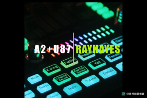 RAYHAYES Sound Card mixer With Microphon Bluetooth Reverb microphone condenser set for Live Streaming Singing Recording