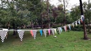 14x21cm Racing Banner Flags Black And White Checkered Stripe Flags Racing Theme Party Decorations Supplies