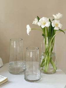 Transparent Glass Small Flower Vase