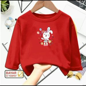 Baju Anak Perempuan Usia 1-12 Tahun Lengan Panjang Cute Girl