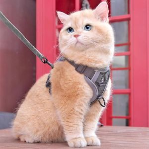 Pet City Cat Leash Breathable Chest Harness for Outdoor Walking Adjustable Dog Leash Comfortable And Durable Cat Harness