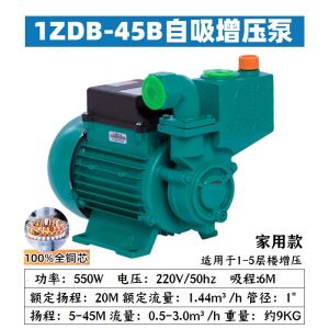 High-Ambition Clear Water Pump Automatic Self-Priming Pump for Household Water Supply Drainage Irrigation And Circulation Purification