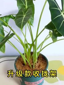 4PCs Large Size Hanging Plant Stand Iron Hooks Flowerpot Hanger Indoor Outdoor Garden Balcony Flower Holder Plant Hook Rack