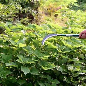 Long Handle Agricultural Crescent Weeding Tool: A Multifunctional Garden/Landscaping Solution