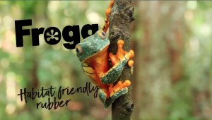 FROGG "BOBBLY BALL" Natural Rubber Dog Toy