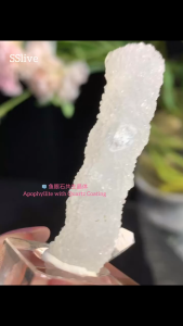 🧊鱼眼石共生晶（Apophyllite with Quartz Coating）很好看的一颗 白水晶是高度通透的 mineral crystal