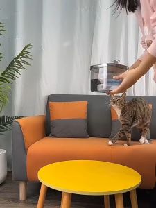 Transparent Automatic Pet Water Fountain Stainless Steel Cat Water Bowl Automatic Water Dispenser