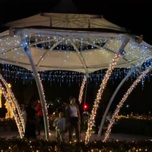 Extendable 100 LED 10M Twinkle Starry Fairy String Festive Decor Lights Lighting Decoration Lamp Outdoor Waterproof