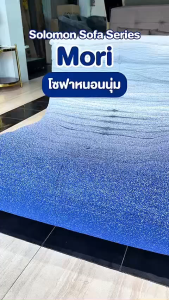 SOLOMON โซฟา โซฟาหนอนนุ่ม รุ่น Mori สีทูโทน