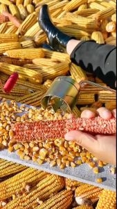 Alat Perontok Pemipil Kupas Jagung Hand Crank Corn Thresher Manual