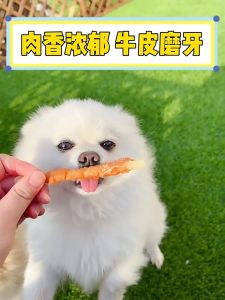 100g Dog Dental Molar Stick Chewing Dog Food Pet Treats Dog Snacks