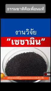 น้ำมันงาดำ Jamille Black Sesame Oil เซซามิน