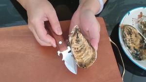 Marino ที่แกะหอย มีดแกะหอยนางรม ที่เปิดขวด ด้ามไม้ No.Y2257