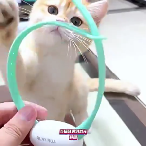 พร้อมส่ง ของเล่นเลเซอร์แมว ปลอกคอแมว LED ไฟฟ้าอัตโนมัติ อุปกรณ์สัตว์เลี้ยง USB พร้อมไฟ