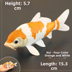MENGSILE | Realistic Children Learning Koi Fish Toy
