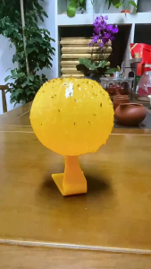 Fruit Fly Insect Catcher Sticky Fruit Fly Insect Trap Ball Fruit fly trap Suitable for kitchen and dining room