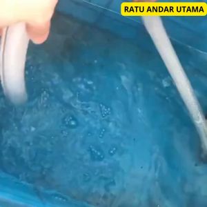 COD MARINEPET Pompa Air  untuk kolam ikan akuarium tekanan tinggi Submersible Water Bilge Pump 12V  BL 2512S