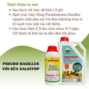 Can 2 lít - PSEUDO BACILLUS: Ngăn ngừa các bệnh về rễ thối rễ vàng lá héo rủ héo tươi...