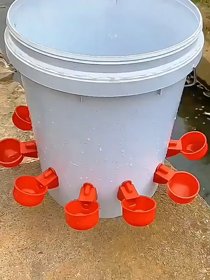 ถ้วยให้น้ําไก่อัตโนมัติ พร้อมดอกสว่าน 6/12 แพ็ค ไก่รดน้ำถ้วยอัตโนมัติบรรจุ Waterer สัตว์ปีกชามดื่มด้ายรดน้ำ Feeder ถ้วยสำหรับไก่เป็ดตุรกีและอื่นๆ