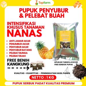 Pupuk Pembesar Buah Nanas / Pupuk Pelebat Buah Nanas / Pupuk Buah Nanas / Pupuk Buat Nanas / Pupuk Untuk Tanaman Nanas / Pupuk Tanaman Nanas