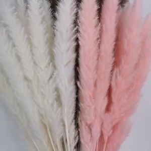 100stems Natural Reed Dried Flower Pampas Grass DIY Handmade Wedding Flower Decoration Bulrush