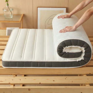 Wise | Nệm Foam Nhớ Hình Đơn 90x190cm